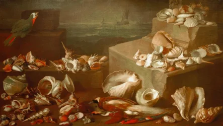 Nature morte avec escargots et coquillages